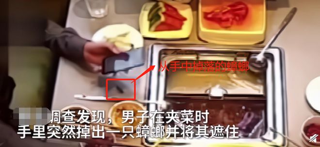 浙江女大学生“白嫖”事件曝光撕开了病态群体的遮羞布(图8)